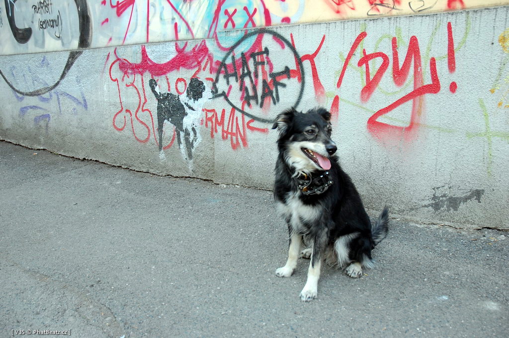 05-13_PrahaStreet_13