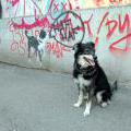 05-13_PrahaStreet_13