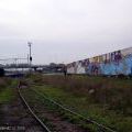 061021_Lysa_14