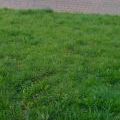 120421_Arnhem_36