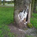 120421_Arnhem_38