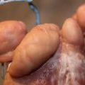 120518_IMG_SRC_Fotografic_16
