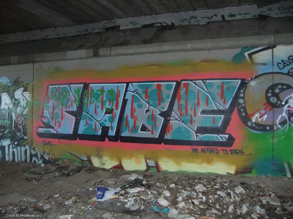 120806_Kobenhavn_55