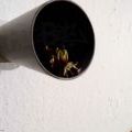 120830_CarlosNo_Walkers_35