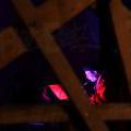 121016_meraner_gruppe_08
