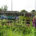 130608_Trebic_02