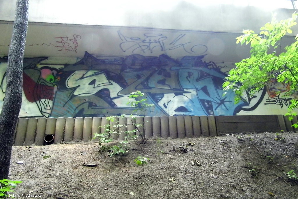 130610_Chotkova_11