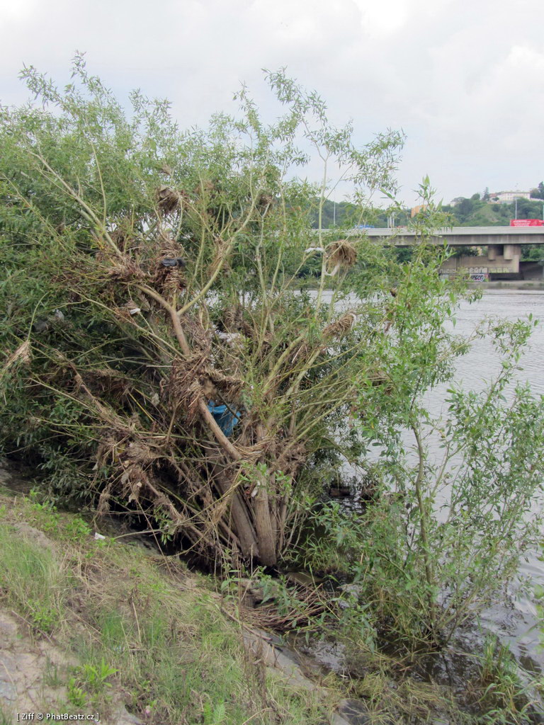 130628_Barrandov_08