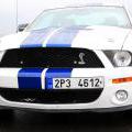 140524_FordMustang50_011