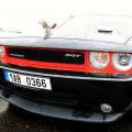 140524_FordMustang50_034