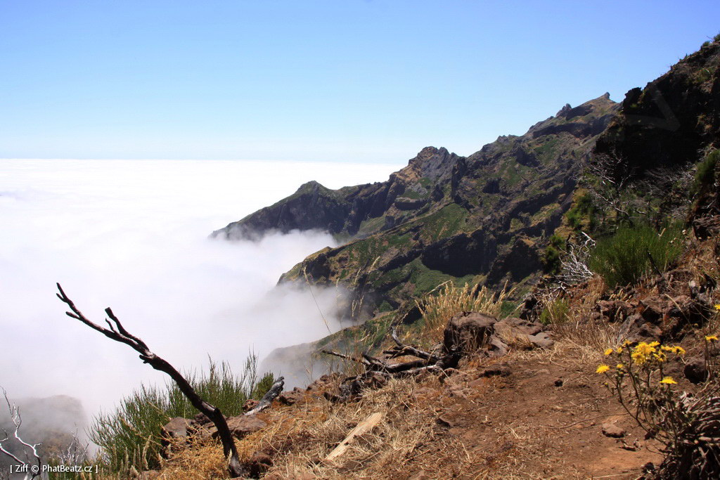 1407_Madeira_039