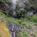 1407_Madeira_115