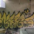 150801_LSK2015_06