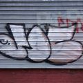 1805-07_Bronx_TUPS_006