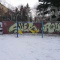 210113_Prosek_51