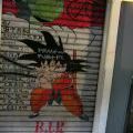 Graff_Japonsko_089