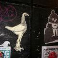 Graff_Japonsko_090