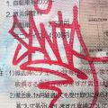 Graff_Japonsko_094