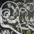 Graff_Japonsko_116