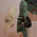 IMG_SRC_33