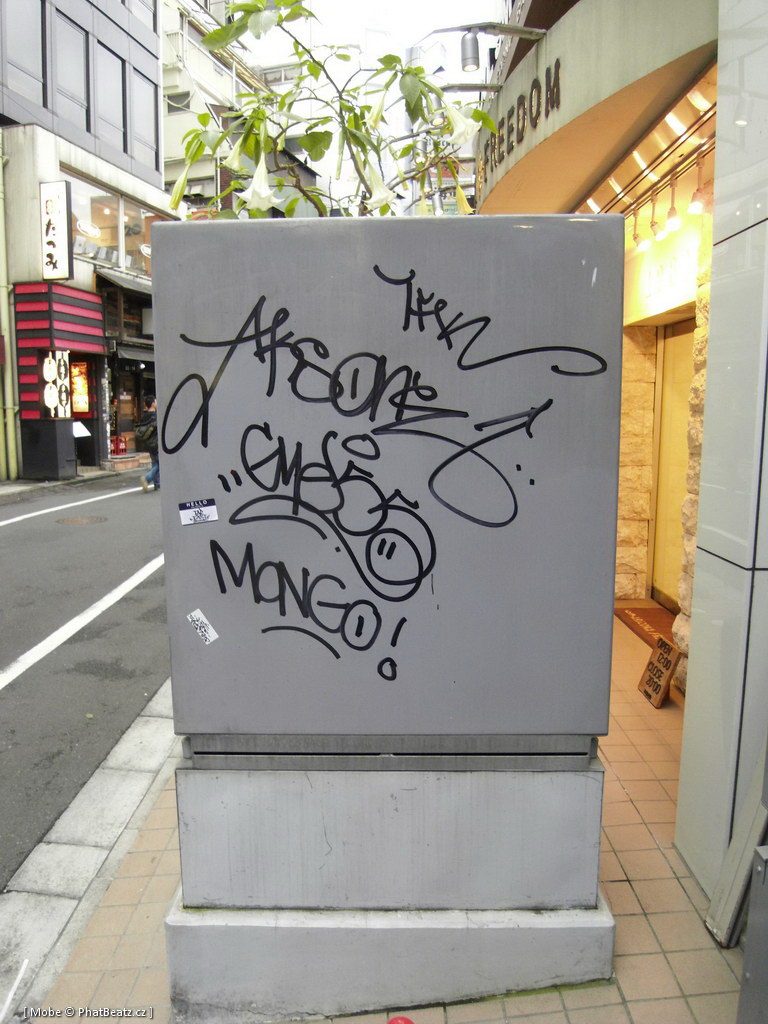 Japonsko2011_012