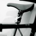 PedalProject_71