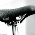 PedalProject_85