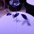 RedBull_ArtOfCan_2011_54