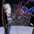 RedBull_ArtOfCan_2011_64