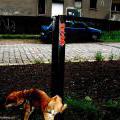 Street_Louny_17