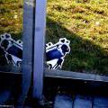 Street_Louny_57