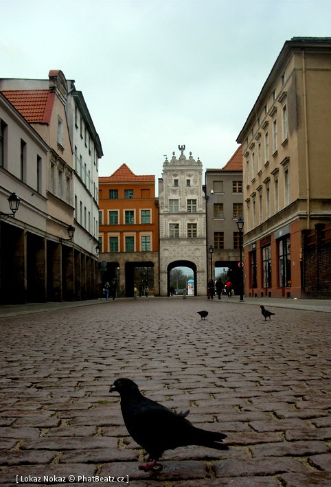 Torun_12